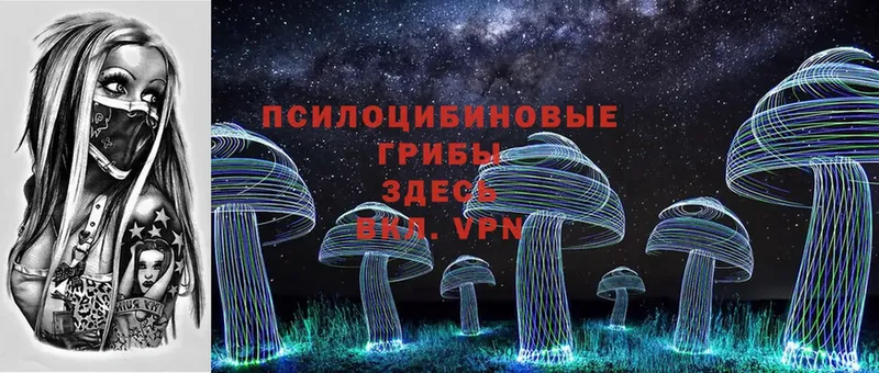 купить наркотик  Копейск  Псилоцибиновые грибы MAGIC MUSHROOMS 